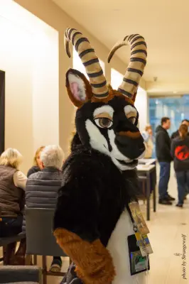 IMG_1279-lr16t.jpg of FC/FC2017/