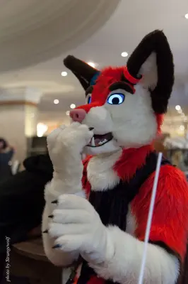 IMG_7737-lr16t.jpg of CFZ/CFZ2016/