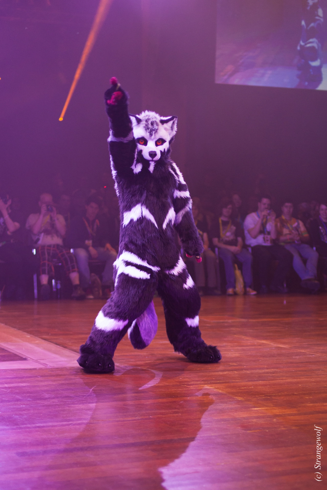 full image IMG_6528-lr19t.jpg