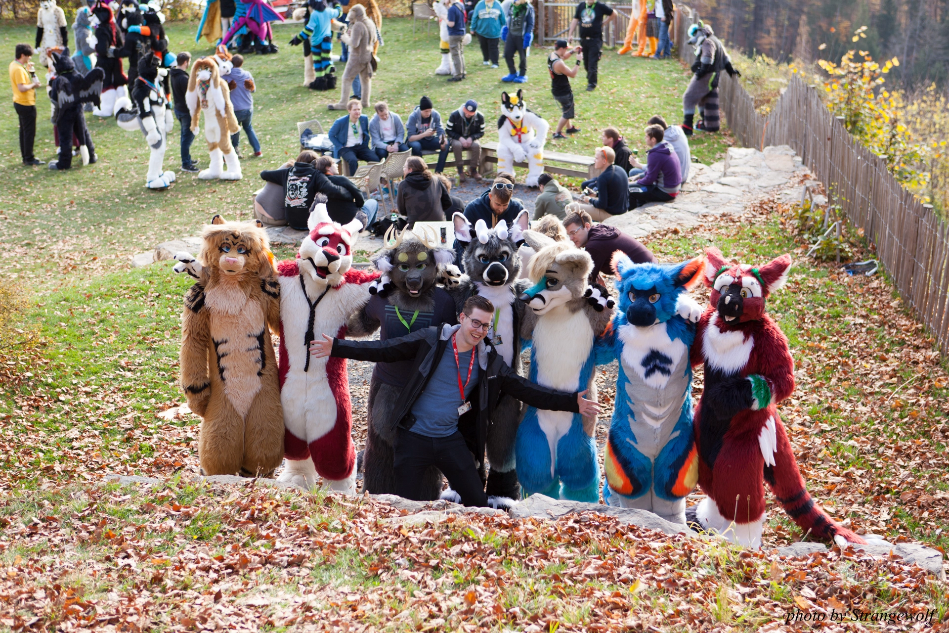 full image IMG_7846-lr19t.jpg