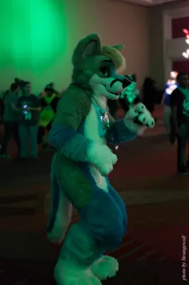 IMG_4489-lr16t.jpg of MFF/MFF2015/