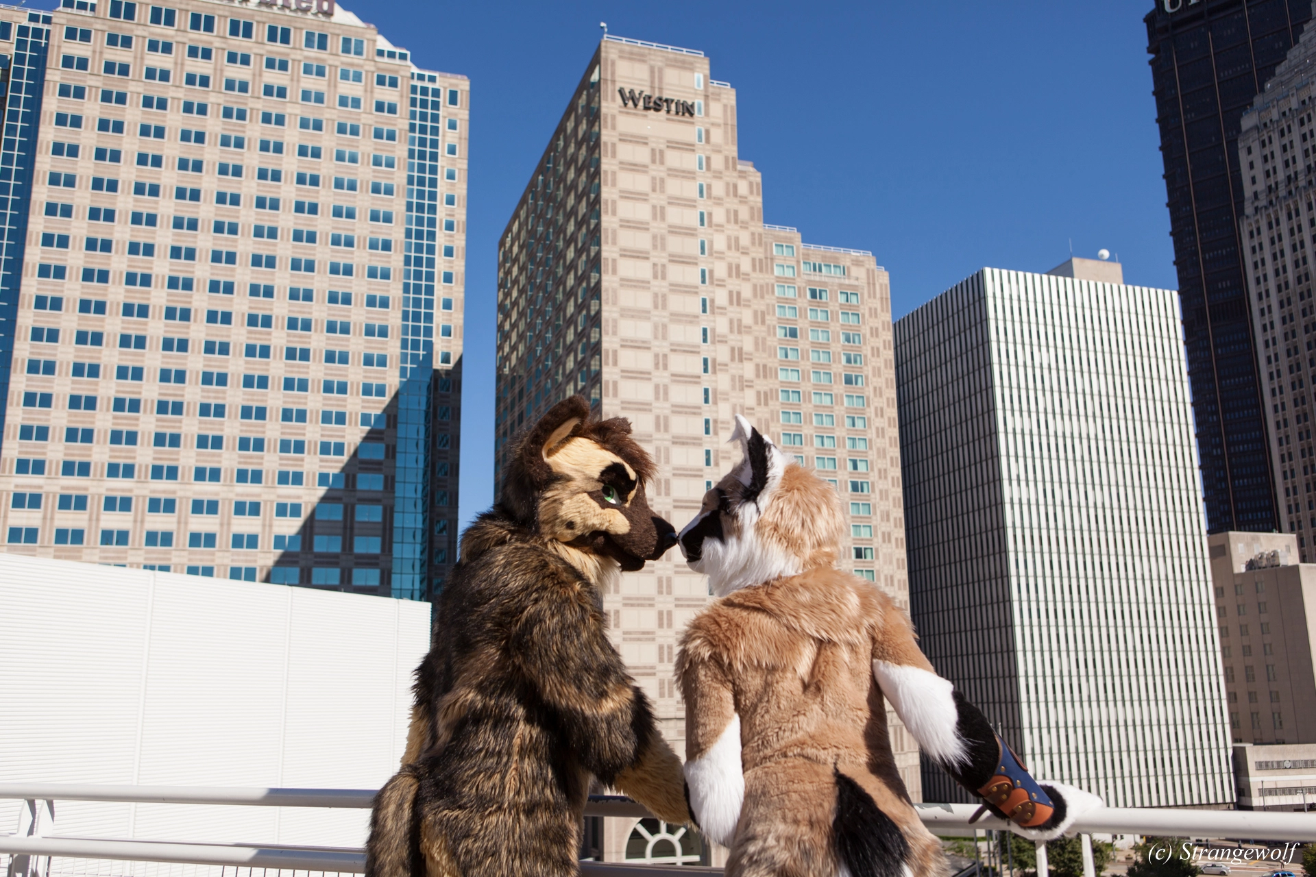 full image IMG_4214-lr19t.jpg
