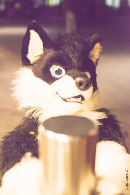 IMG_6587-lr19t.jpg of MFF/MFF2015/