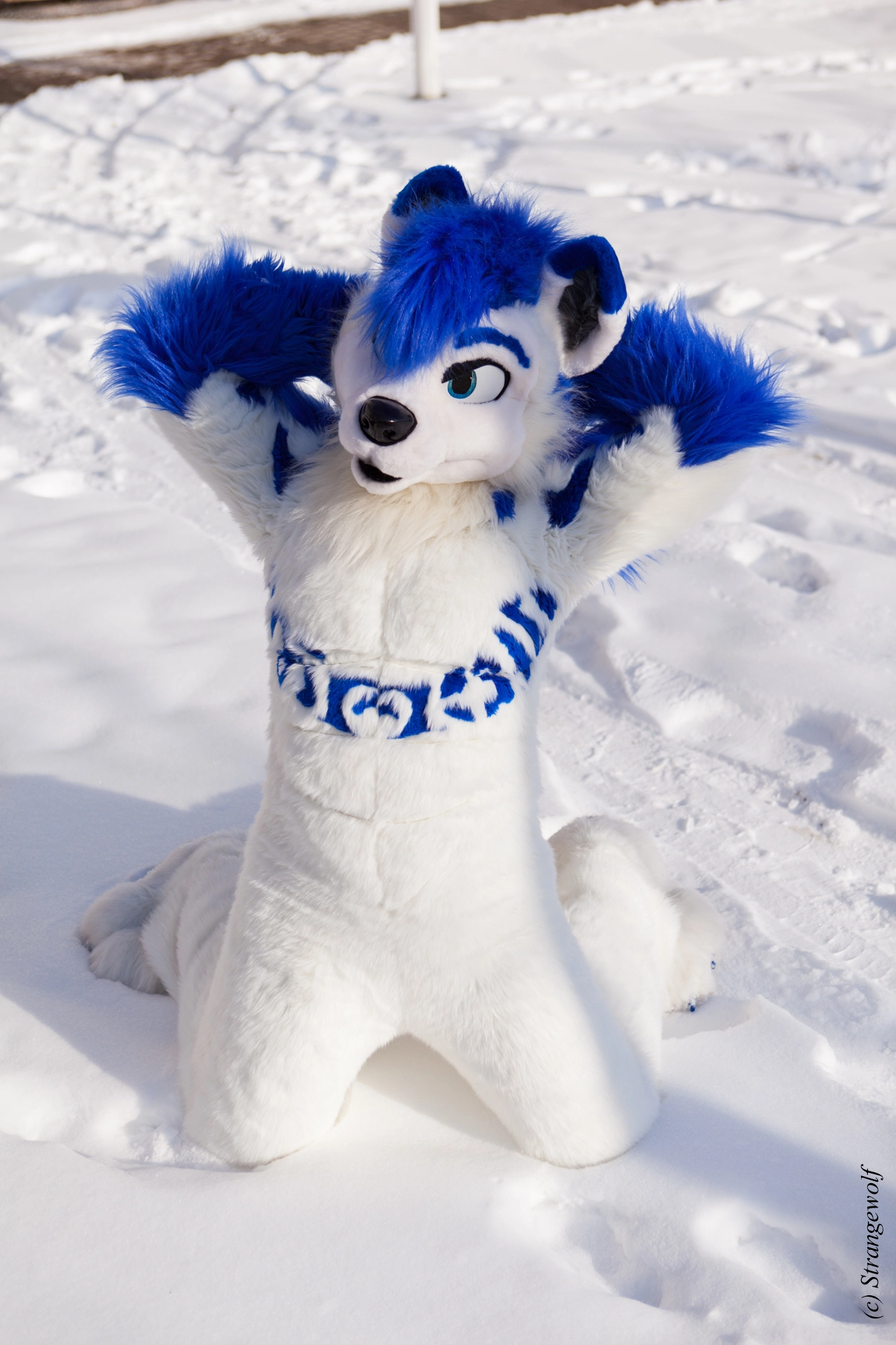 full image IMG_9863-lr19t.jpg