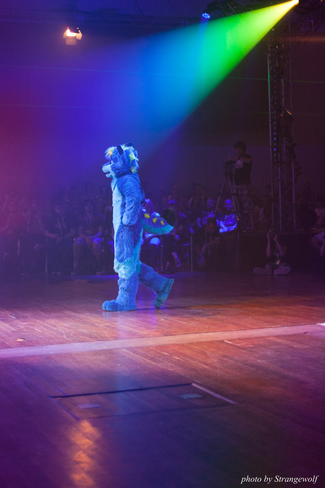 full image IMG_2809-lr16t.jpg
