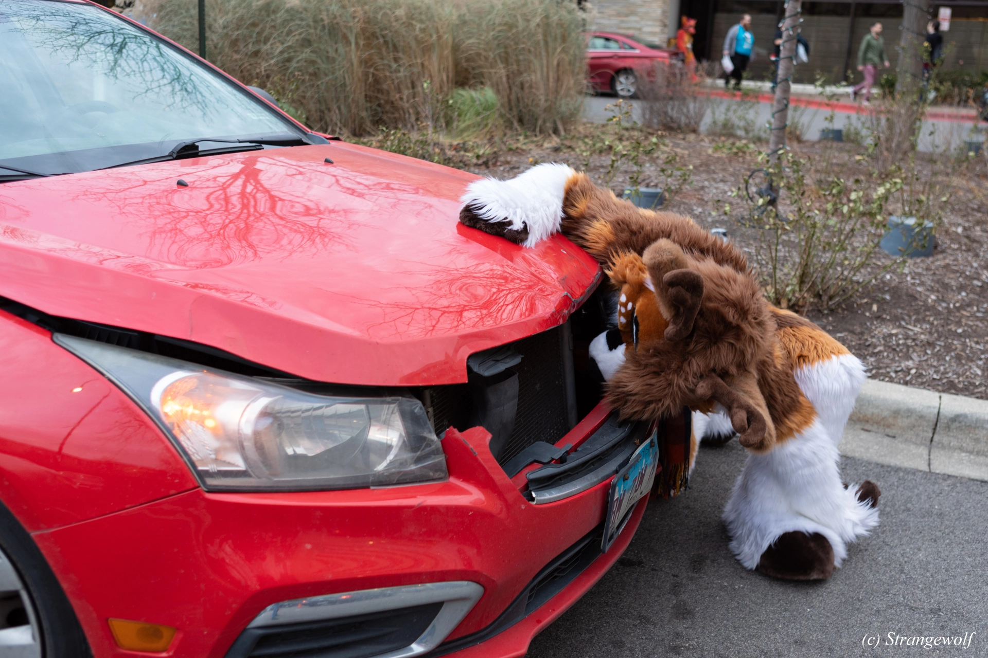 full image 1R3A6174-lr19t.jpg