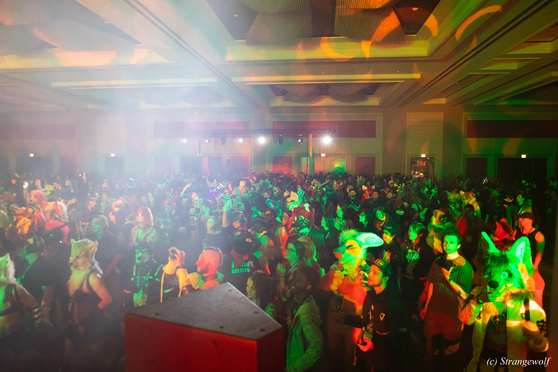 full image 1R3A4768-lr19t.jpg