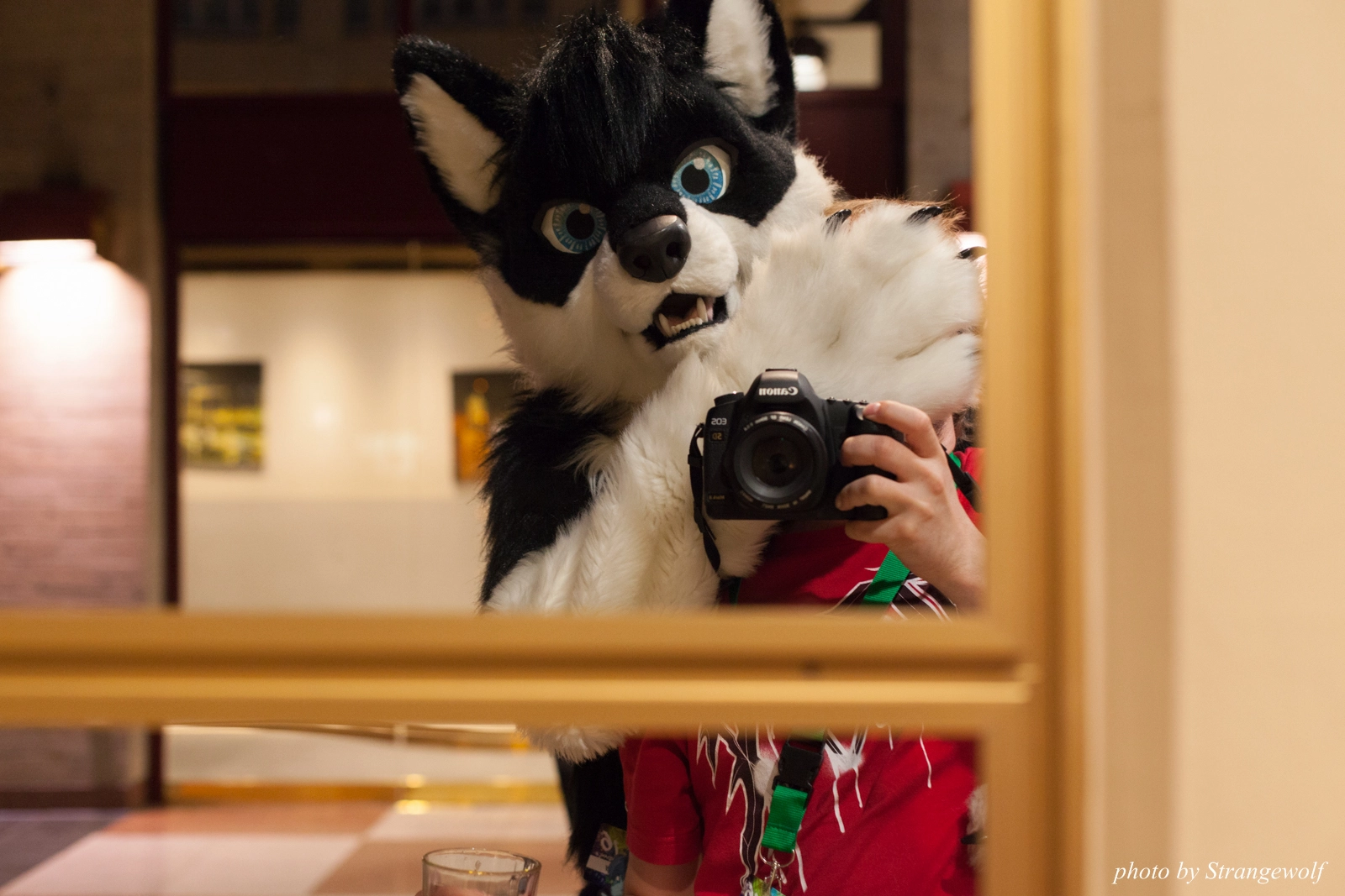 full image IMG_8624-lr16t.jpg