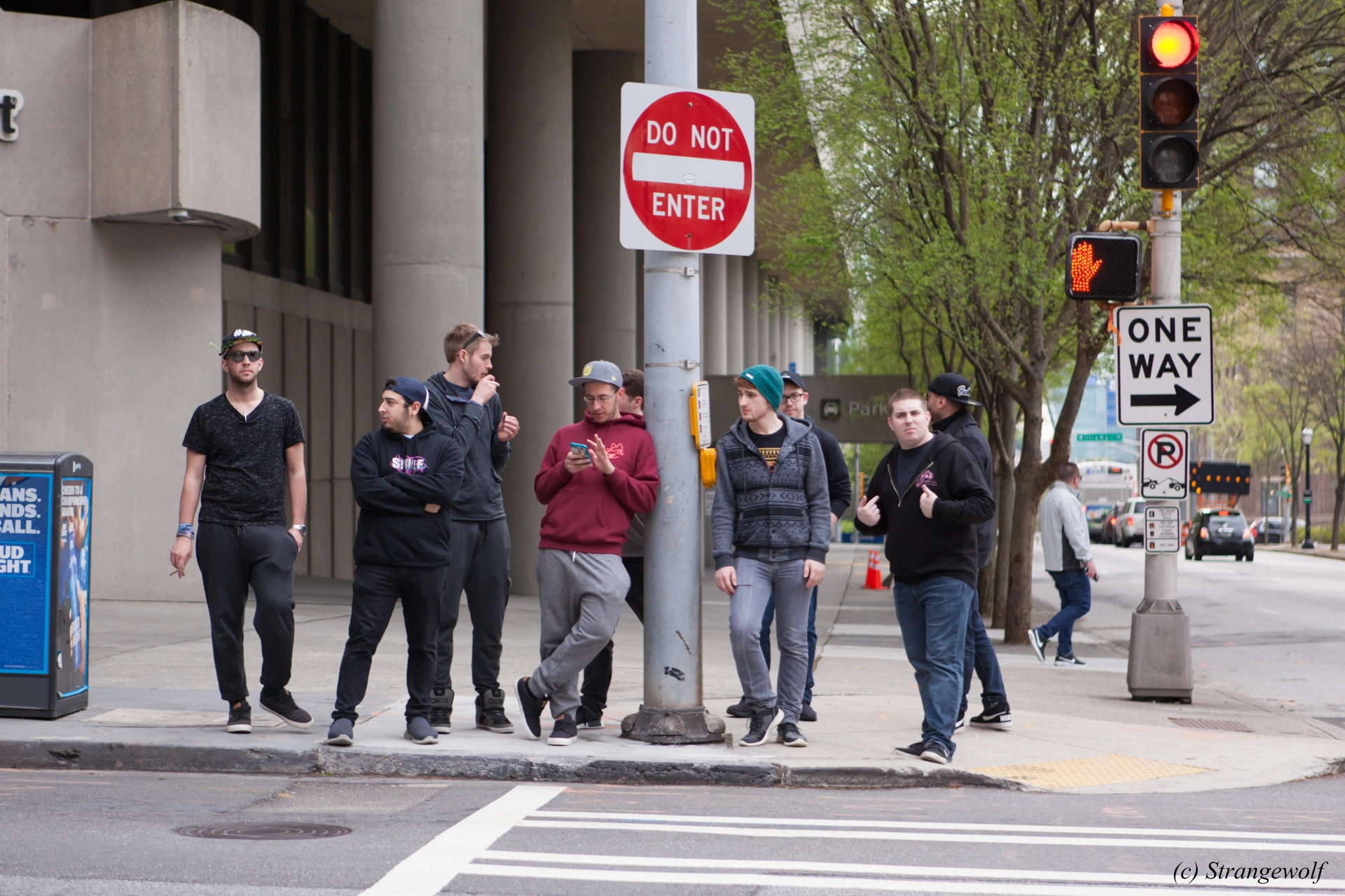 full image IMG_2212-lr19t.jpg