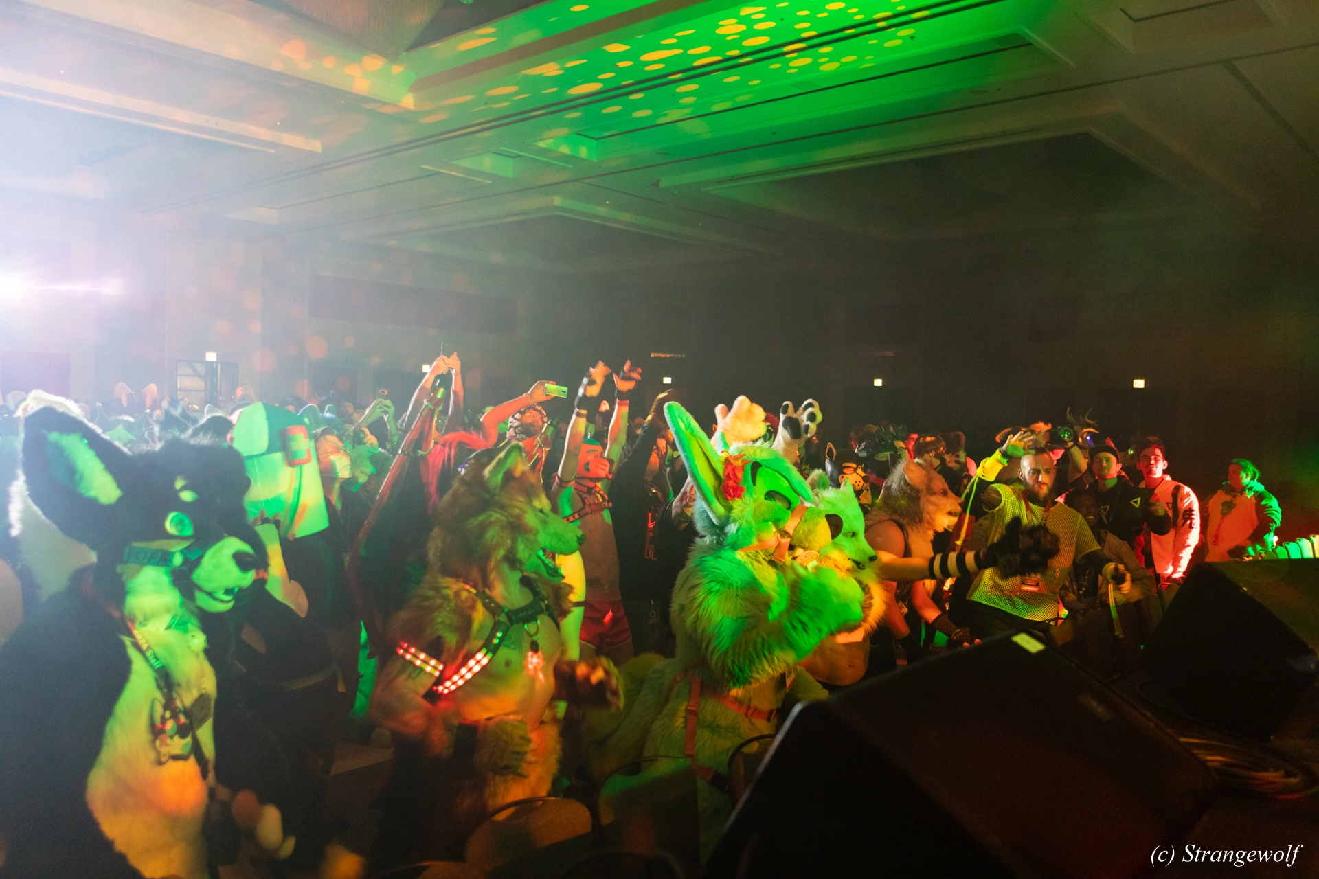 full image 1R3A4644-lr19t.jpg