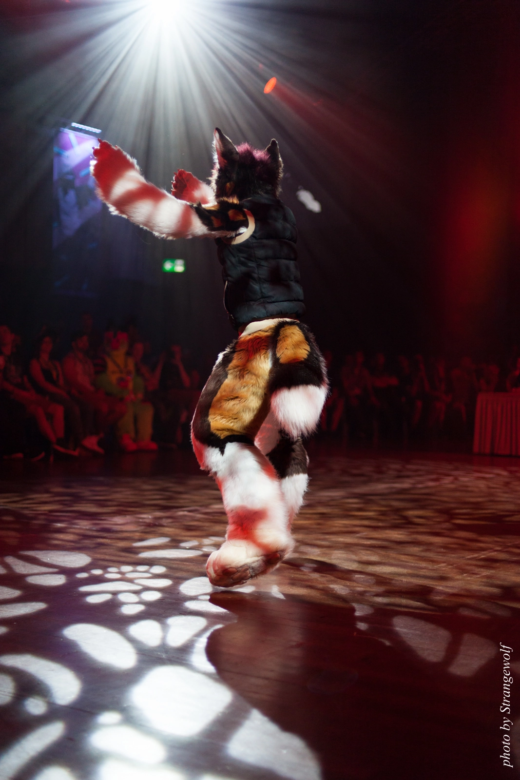 full image IMG_9502-lr16t.jpg