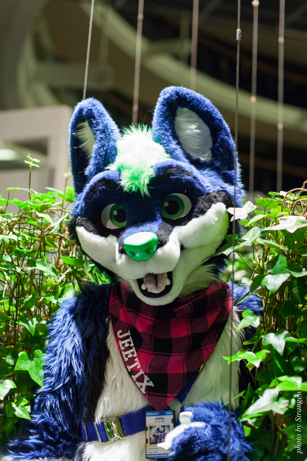 full image IMG_2003-lr16t.jpg