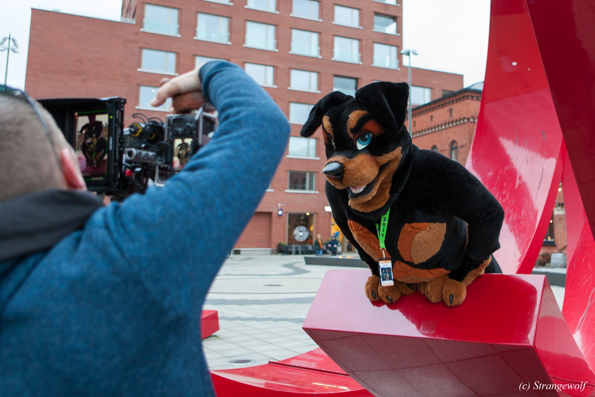 full image IMG_8582-lr19t.jpg