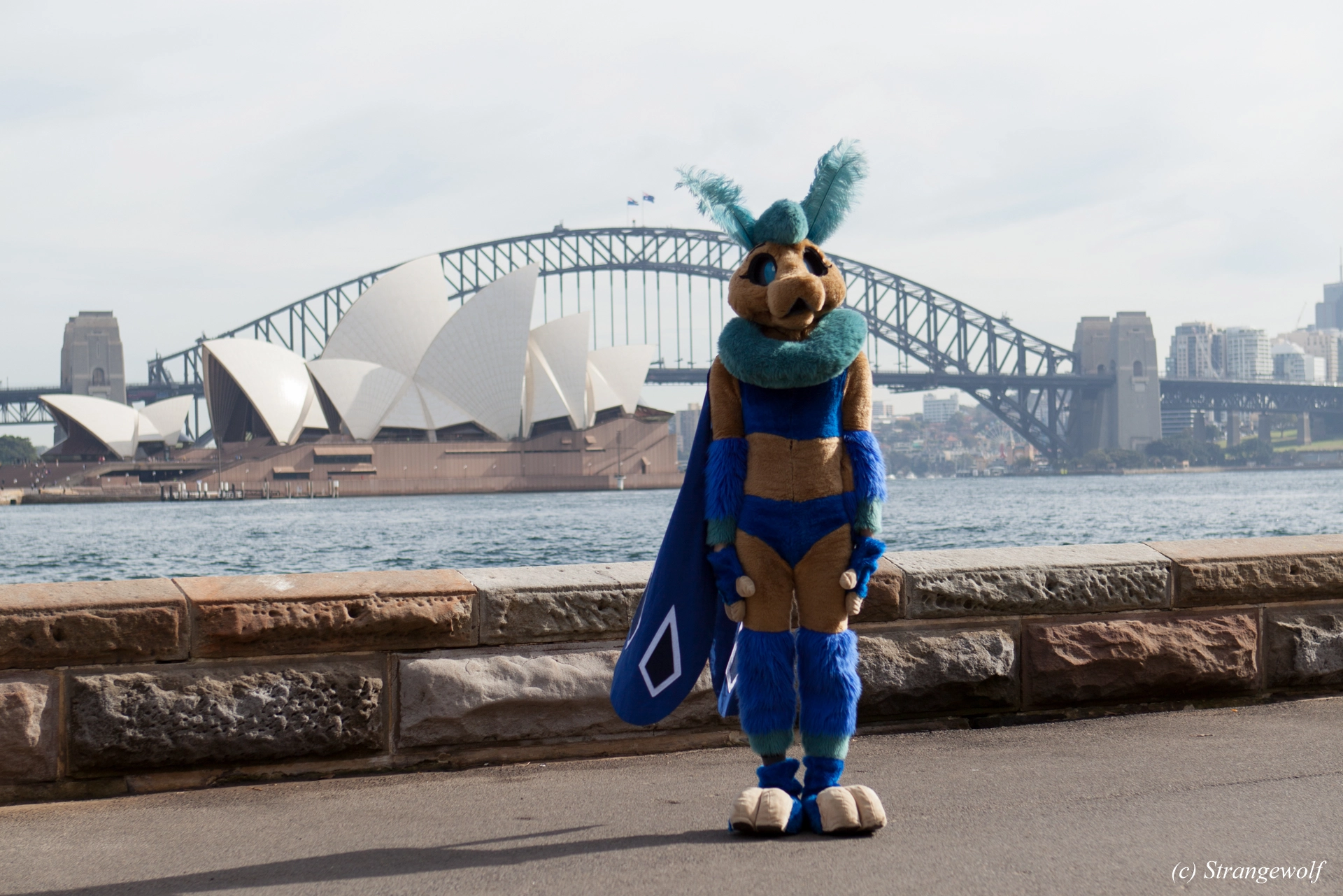 full image IMG_4352-lr19t.jpg