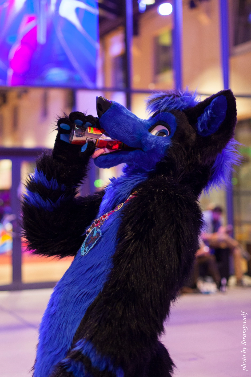 full image IMG_0011-lr16t.jpg