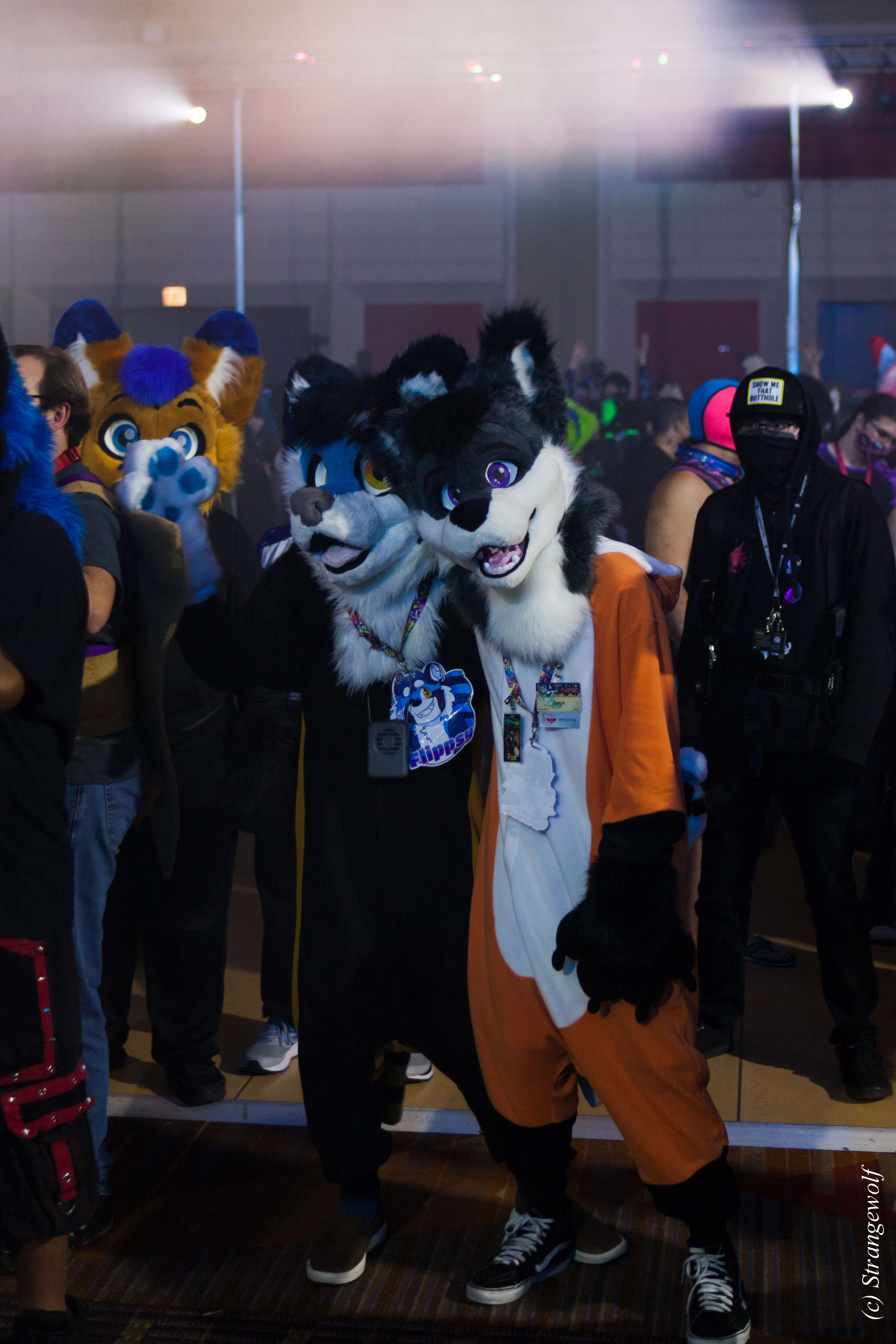 full image IMG_2220-lr.jpg