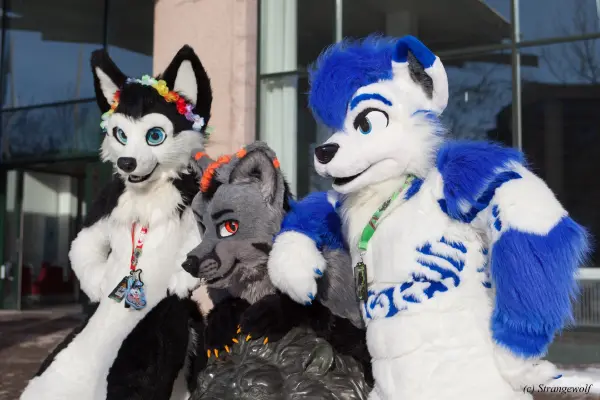 IMG_9682-lr19t.jpg of NFC/NFC2018/