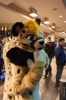 IMG_6985-lr19t.jpg of MFF/MFF2018/