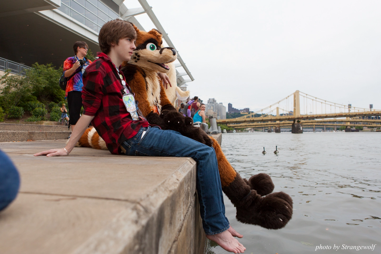 full image IMG_8337-lr16t.jpg
