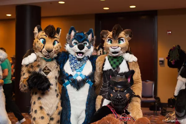 IMG_7619-lr19t.jpg of MFF/MFF2018/