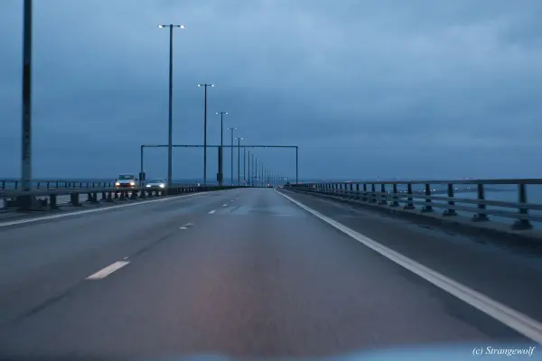 IMG_0043-lr19t.jpg of NFC/NFC2019/