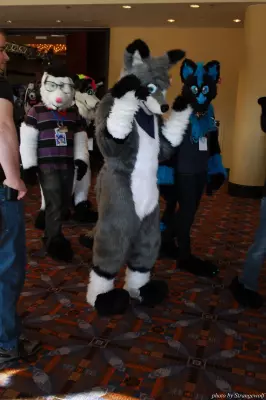 IMG_0566-lr.jpg of MFF/MFF2013/