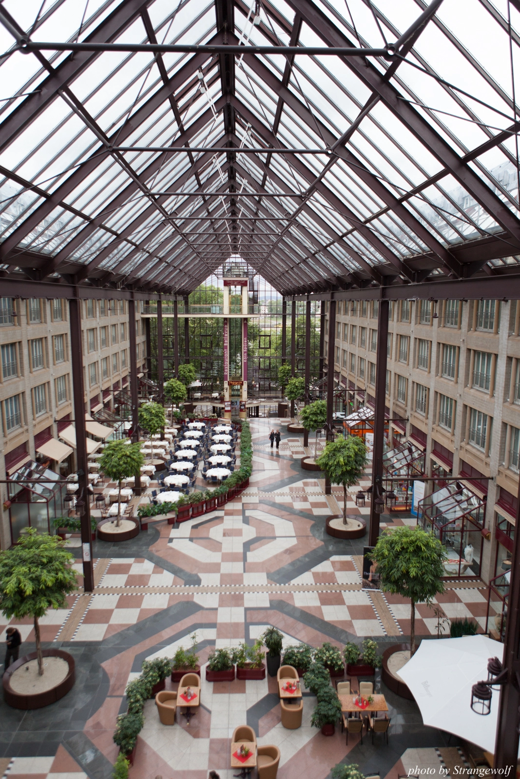 full image IMG_1183-lr16t.jpg