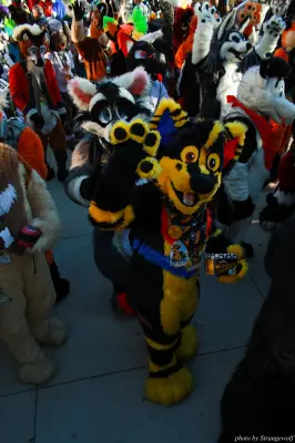 IMG_0675-lr.jpg of MFF/MFF2013/