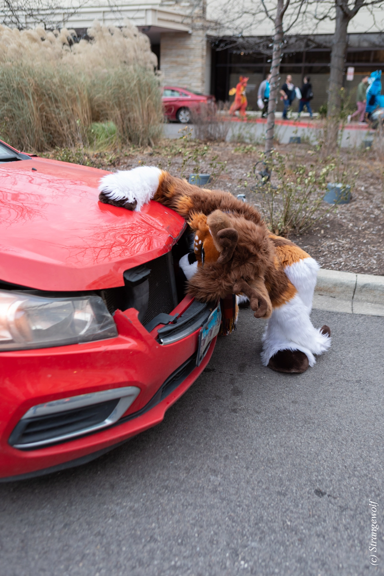 full image 1R3A6175-lr19t.jpg
