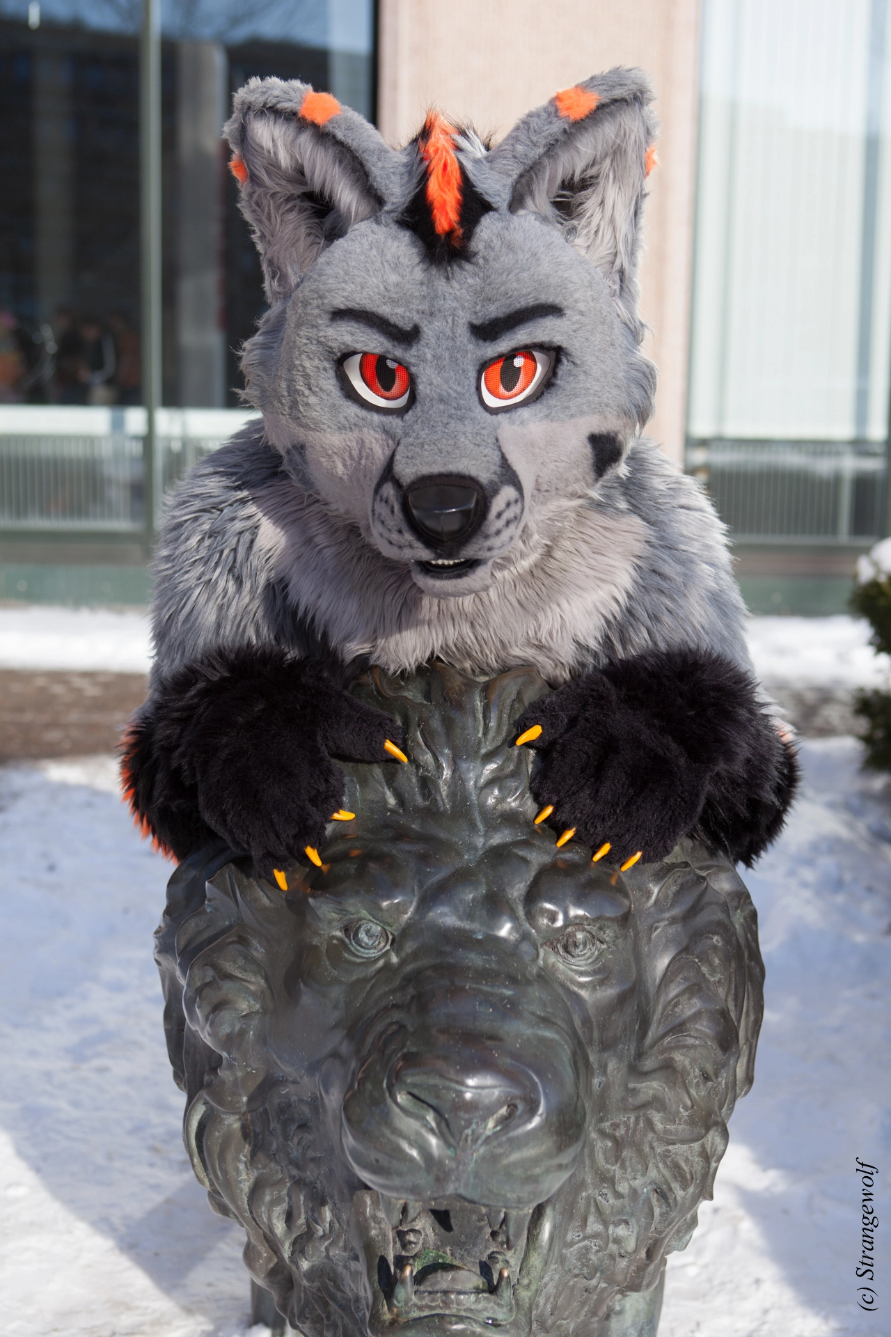 full image IMG_9717-lr19t.jpg