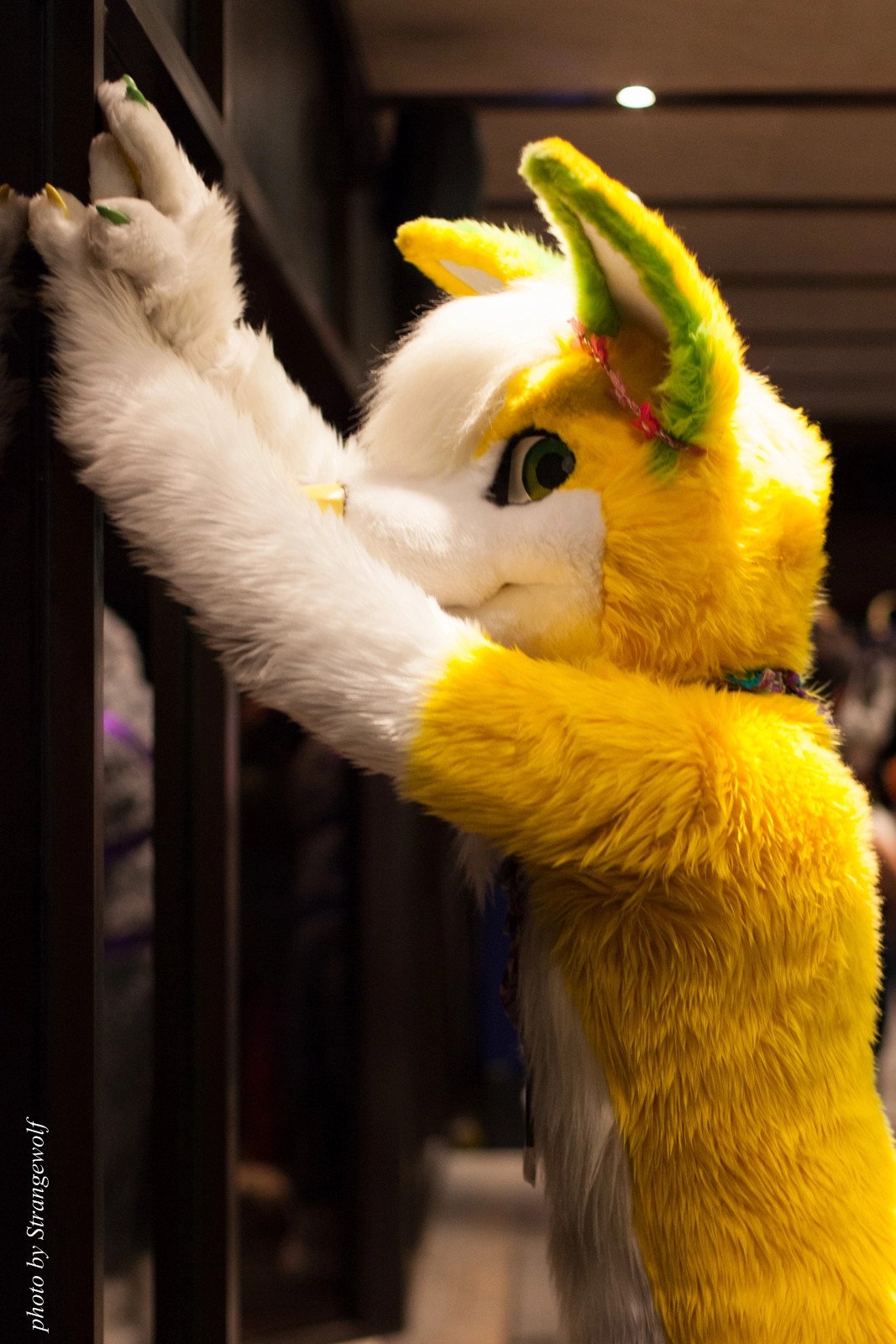 full image IMG_7656-lr16t.jpg