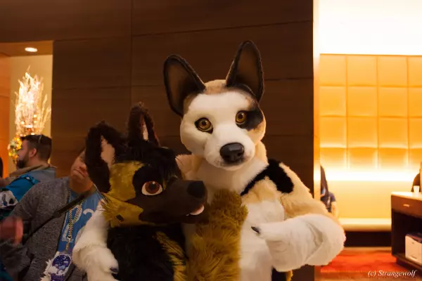 IMG_8073-lr19t.jpg of MFF/MFF2017/