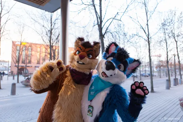 IMG_8892-lr19t.jpg of NFC/NFC2019/