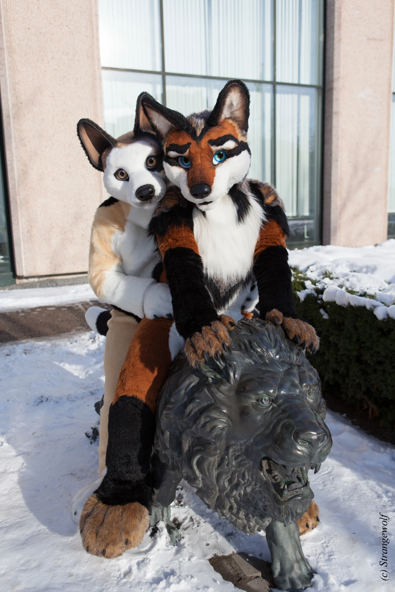 full image IMG_0077-lr19t.jpg