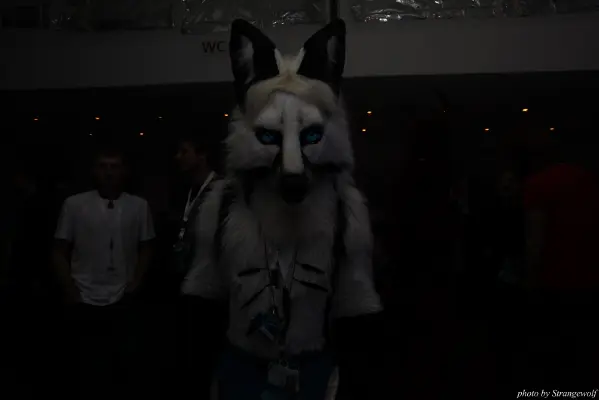 IMG_7515-lr16t.jpg of CFD/CFD13/