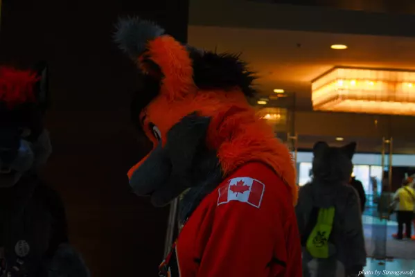 IMG_0766-lr.jpg of MFF/MFF2013/