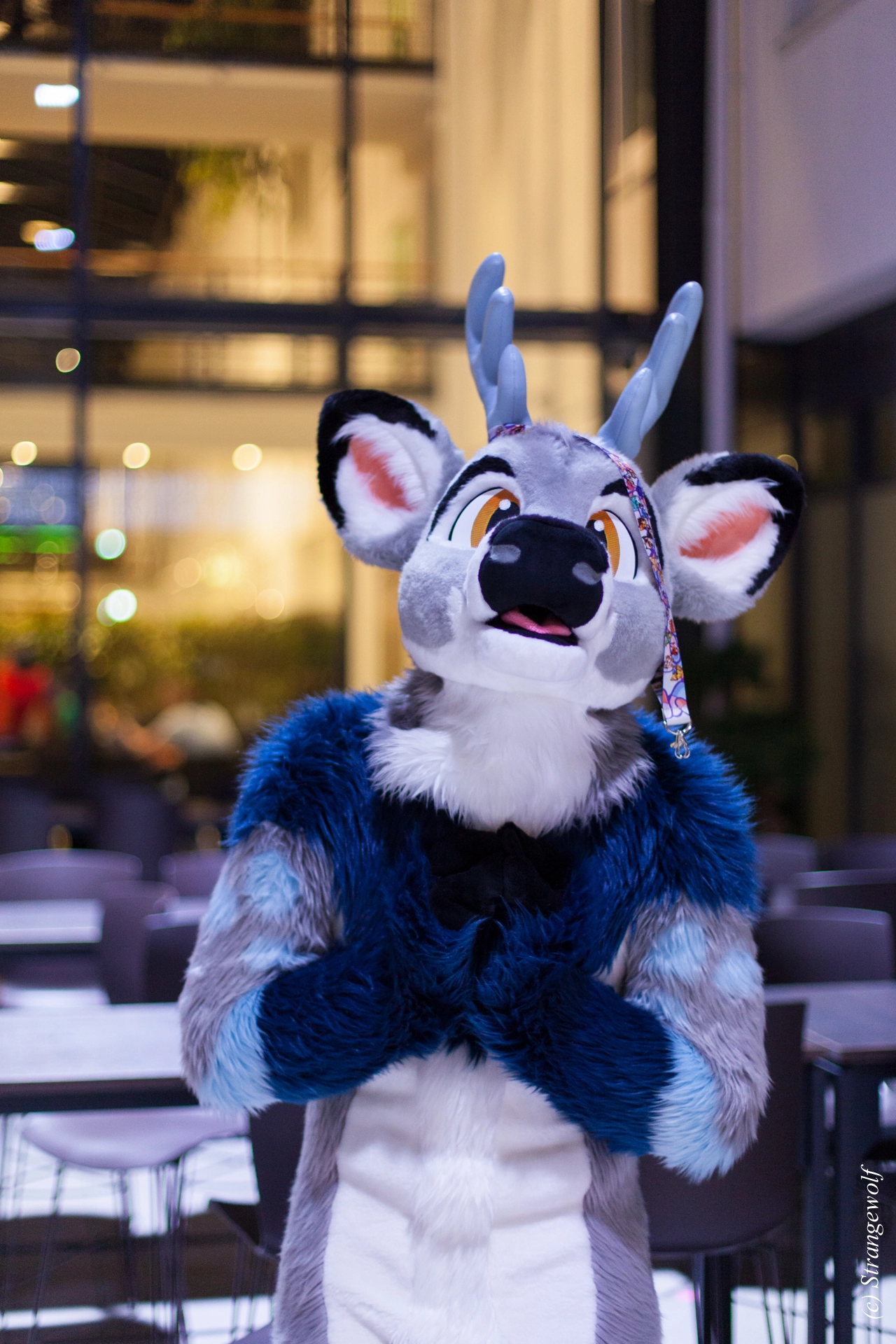 full image IMG_5456-lr19t.jpg