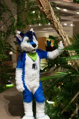 IMG_8987-lr19t.jpg of NFC/NFC2019/Shoot-Defus/