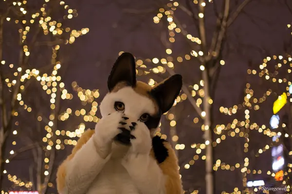 IMG_9929-lr19t.jpg of NFC/NFC2019/