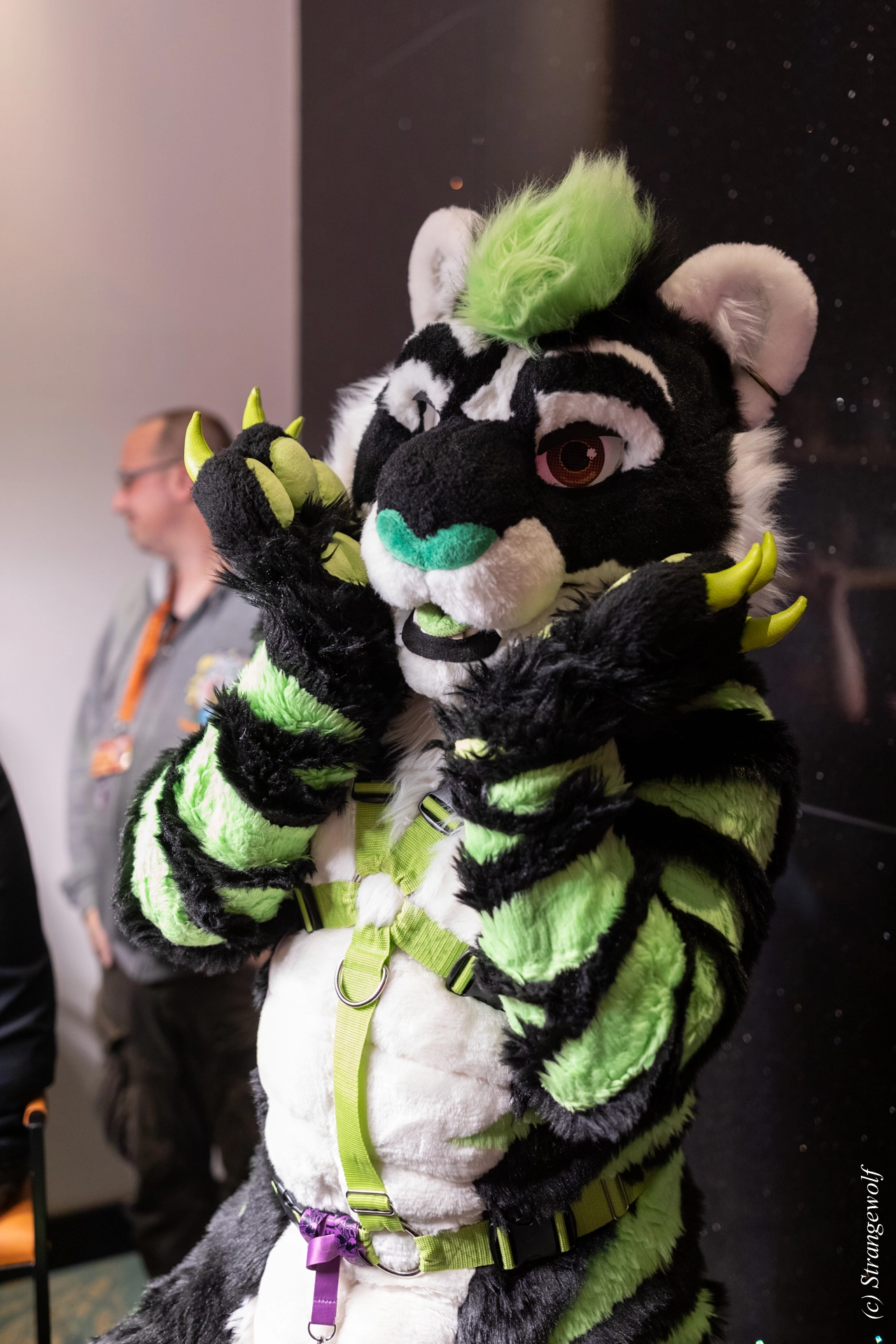 full image 1R3A9384-lr19t.jpg