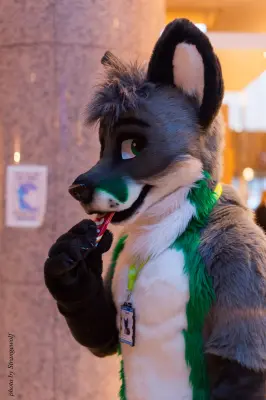 IMG_2155-lr16t.jpg of NFC/NFC2017/