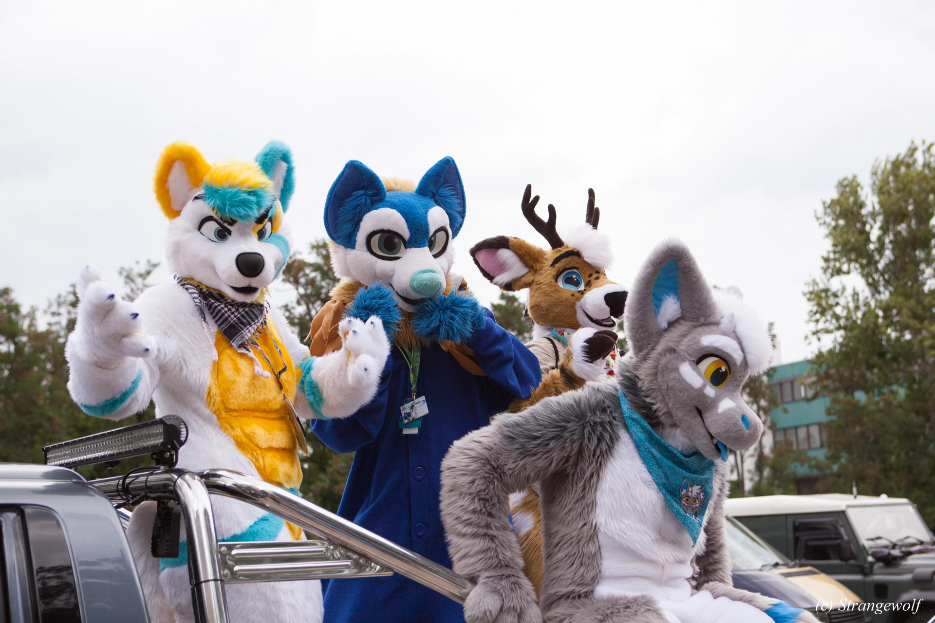 full image IMG_5285-lr19t.jpg