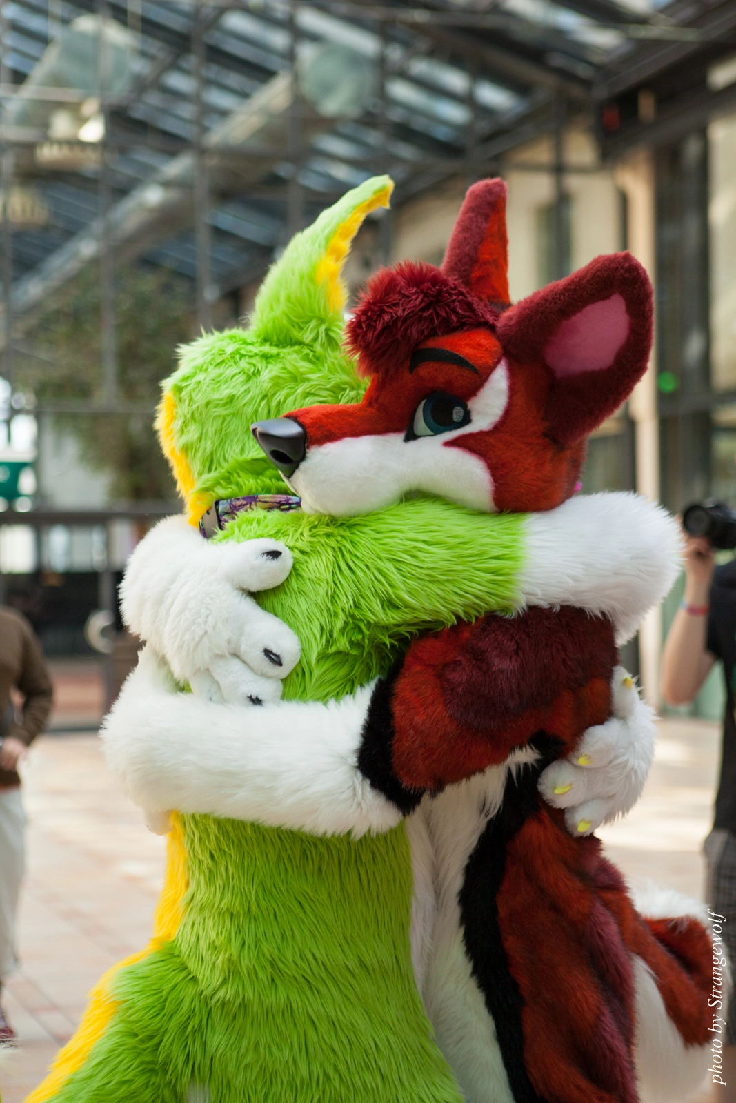 full image IMG_2063-lr16t.jpg