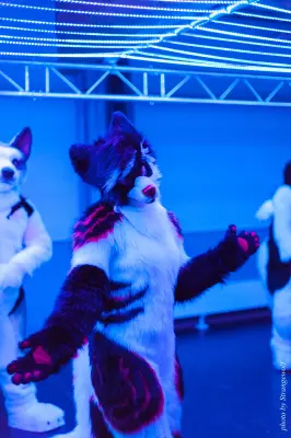 IMG_5436-lr16t.jpg of DFD/DFD2017/