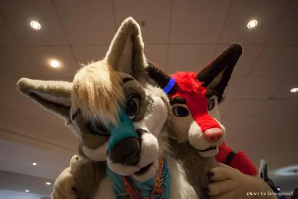 IMG_7403-lr16t.jpg of CFZ/CFZ2016/