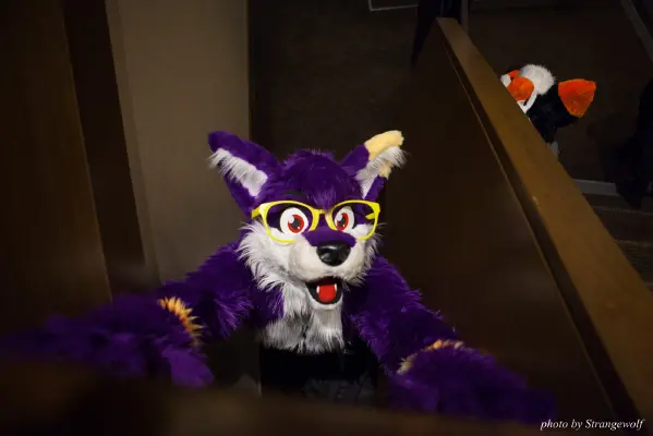 IMG_1009-lr16t.jpg of FC/FC2017/