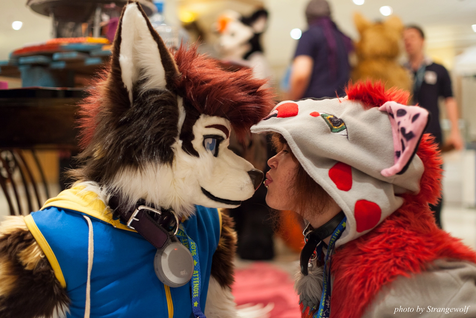 full image IMG_7668-lr16t.jpg