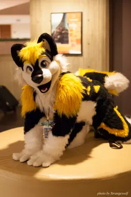 IMG_5365-lr16t.jpg of MFF/MFF2015/