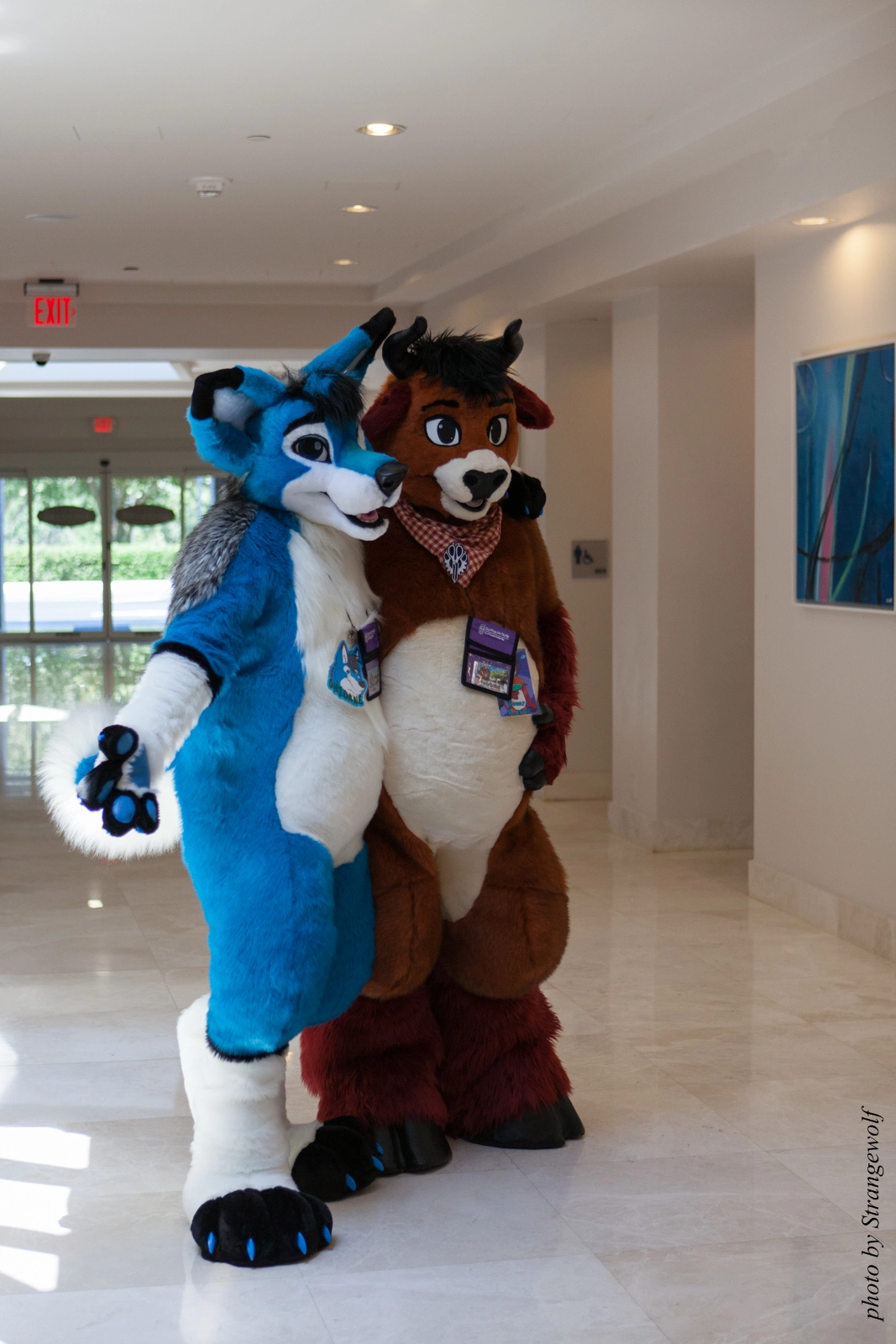 full image IMG_8085-lr16t.jpg