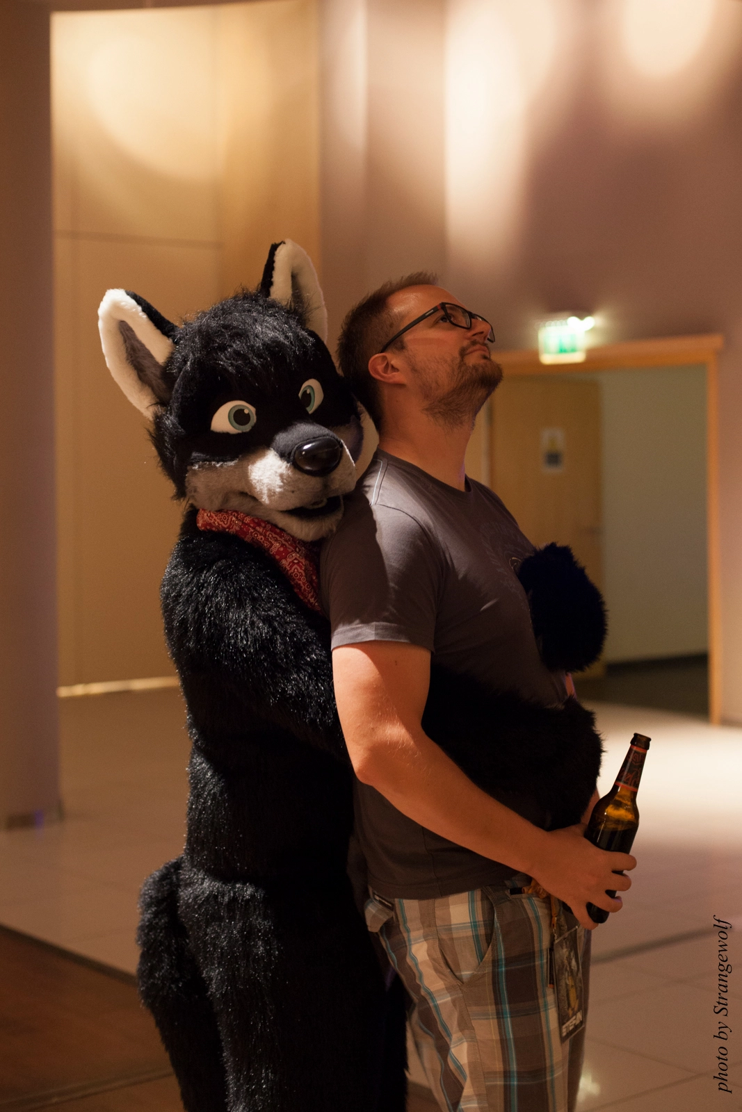 full image IMG_3003-lr16t.jpg